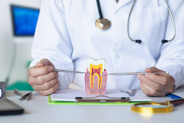 Best Emergency Dental Extractions in Brogden, NC